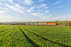 08_BG_Konstantin_Planinski_3