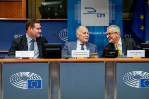 CERDebat8.11HD-48